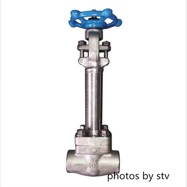 API 602 Cryogenic F304L Gate Valve/4 Inch, Class 800, Socket End