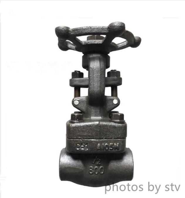 F304 Integral Flange Forged Gate Valve