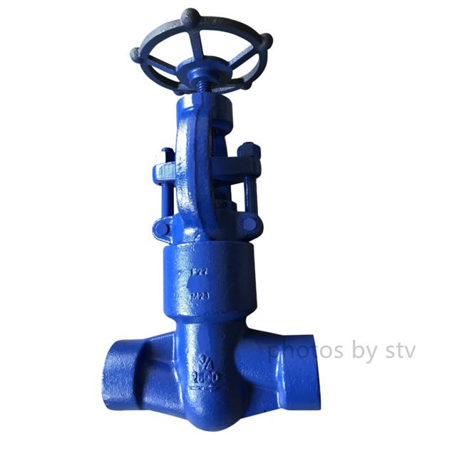 A182 F11 Forged Globe Valve 900LB