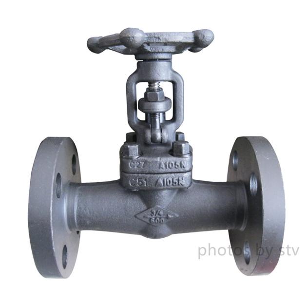 F304 Integral Flange Forged Gate Valve