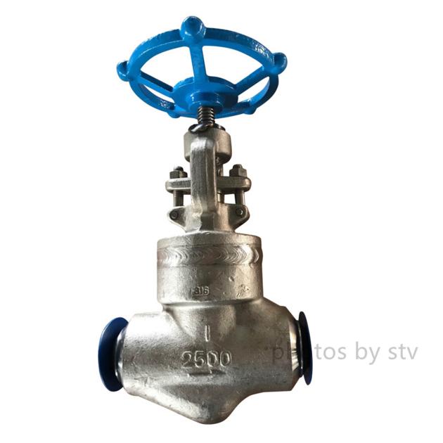 A182 F11 Forged Globe Valve 900LB