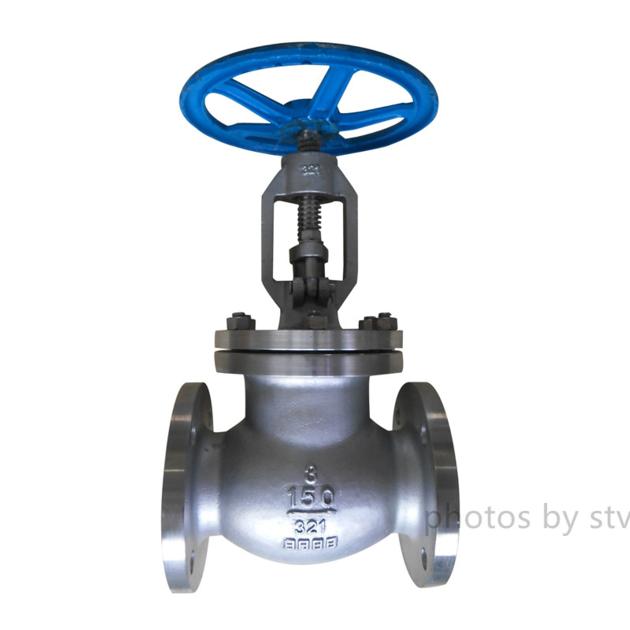 CS DIN 3356 Globe Valve Raised