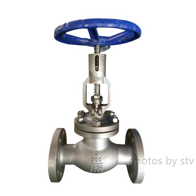 ASTM A351 CF8M Globe Valve DN65