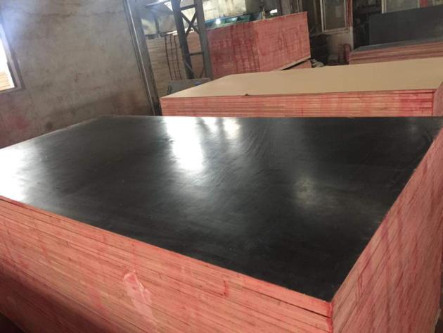 Shuttering Plywood