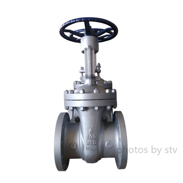 API 600 C5 Gate Valve 10