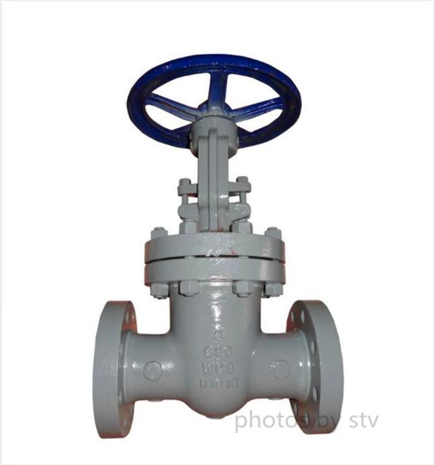 Cast Steel Gate Valve,600LB,3 Inch,API 600,Flanged End