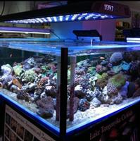 led aquarium light
