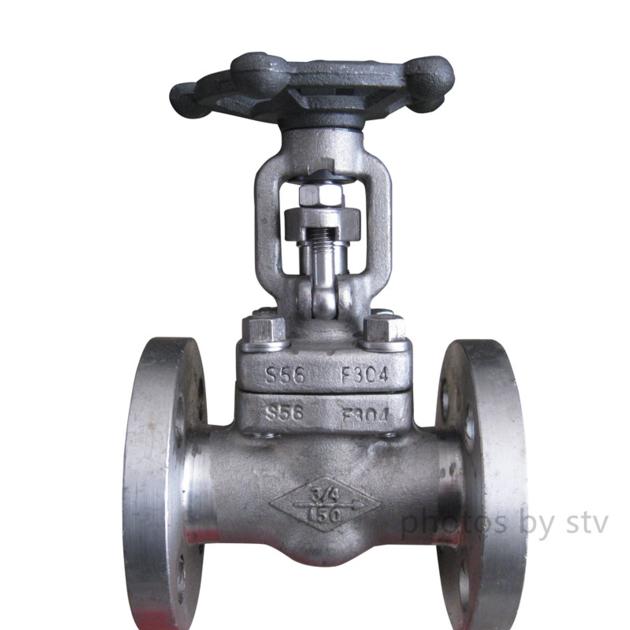 F304 Integral Flange Forged Gate Valve,DN20, 150LB,API 602