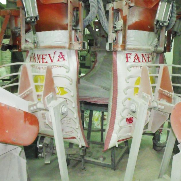 Low Price Wheat Flour Faneva Brand