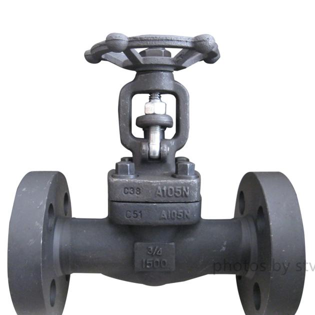 Forged Gate Valve A105 Body DN20