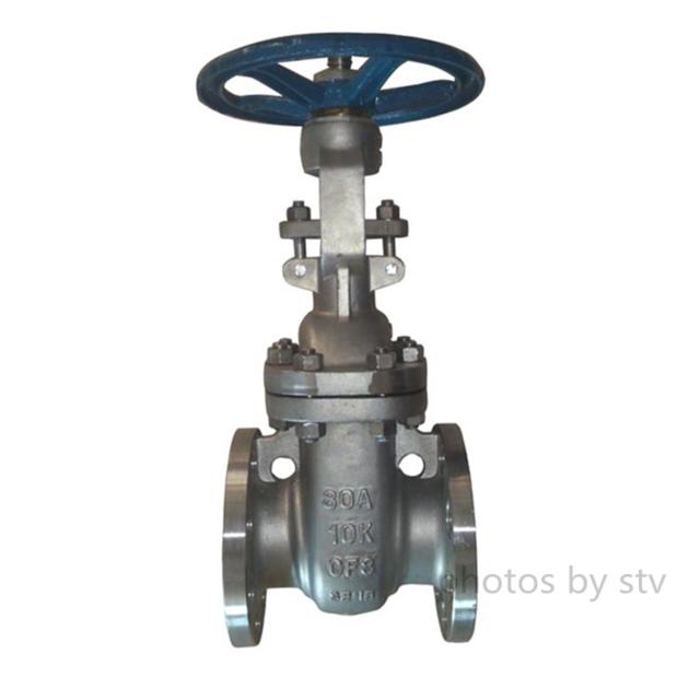 API 600 Flanged Gate Valve 10