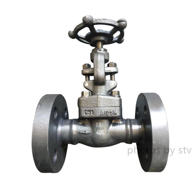 Forged Gate Valve,A105 Body, DN20,600LB,RF End