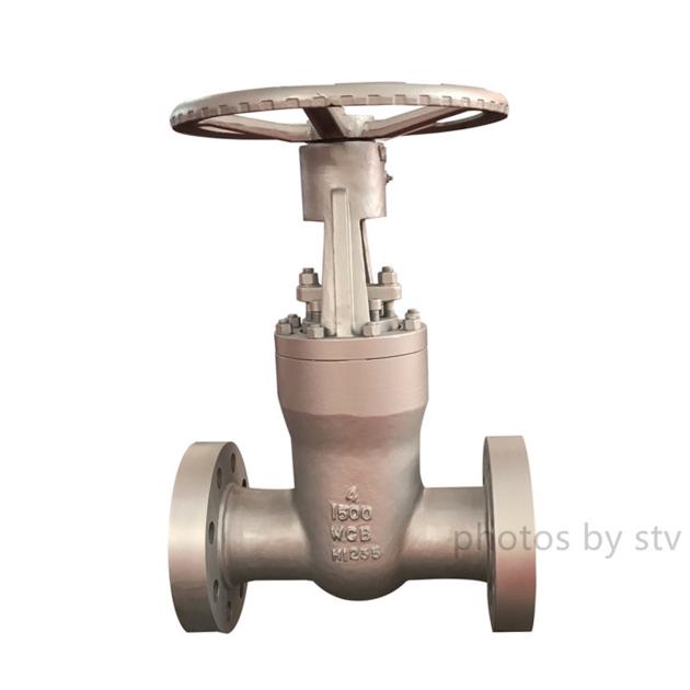 Cast Steel Gate Valve 600LB 3