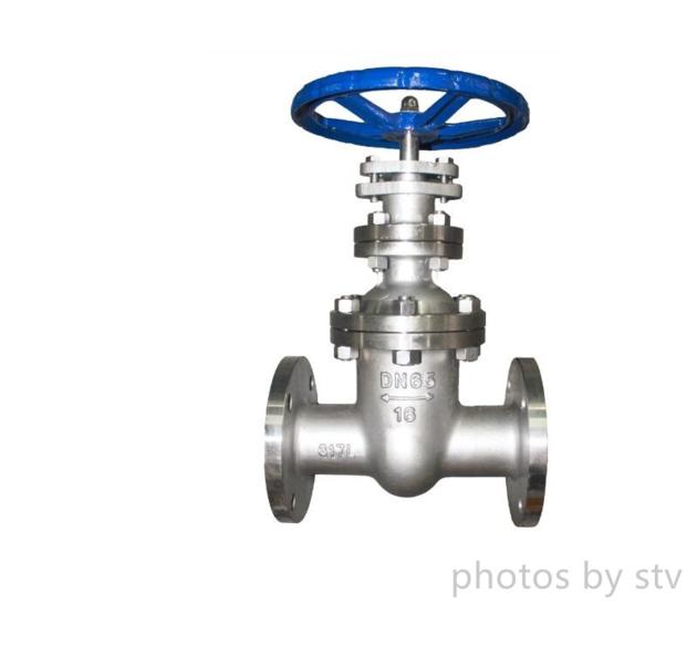 Cast Steel Gate Valve 600LB 3