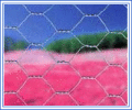 chain link fence