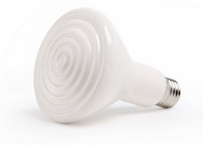 ceramic heat lamp