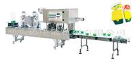 Fully Automatic Sauce Box Filling Machine 