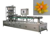 High Speed Soft Bottle Filling&Sealing Machine