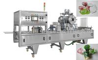 CFD-SF-4 Fully Automatic Servo Filing & Suction Sealing Machine