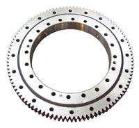 Torriant Gianne slewing bearing , water treatment plant slewing ring 