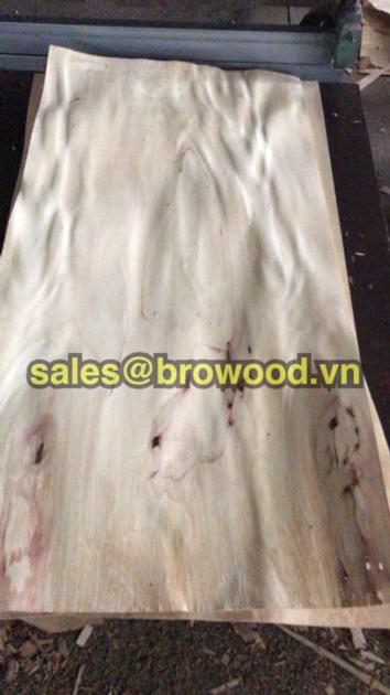 OFFER OF EUCALYPTUS CORE VENEER  VIET NAM - BROWOOD