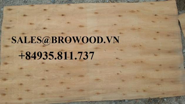 OFFER OF EUCALYOTUS CORE VENEER  VIET NAM - BROWOOD