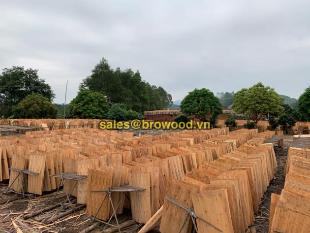 OFFER OF EUCALYPTUS CORE VENEER VIET