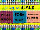 brantas black