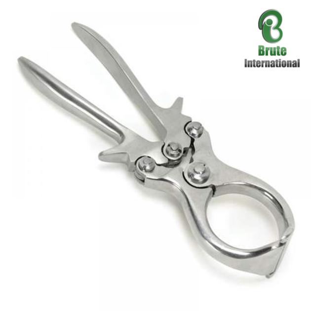 Bloodless Castration Burdizzo