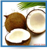 Coconut