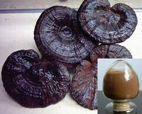 Reishi Extract