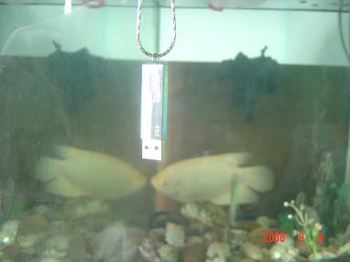 waterproof U3508