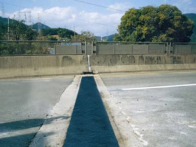 TST Expansion Joint