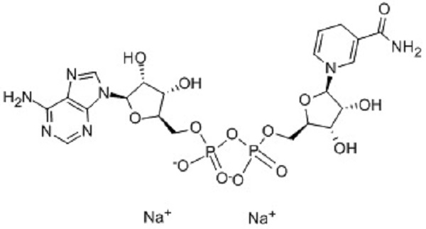 Nicotinamide Adenine Dinucleotide Disodium Salt 606