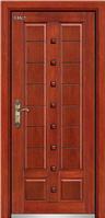 steel-wood armored door