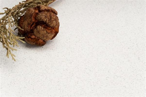 China Quartz Stone Slab&Tile Of Low Water Absorption for Flooring&Walling