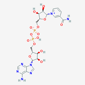 Beta NAD 53 84 9 Coenzyme