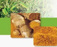 Curcumin 95%
