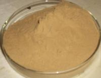 Radix Isatidis P.E.
