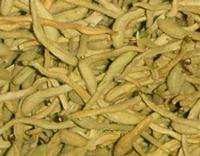 HoneySuchle Flowers Extract 