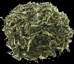 white tea