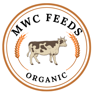 Buy Animal Feeds Wholesale Europe | Buy Grains Wholesale In Europe 