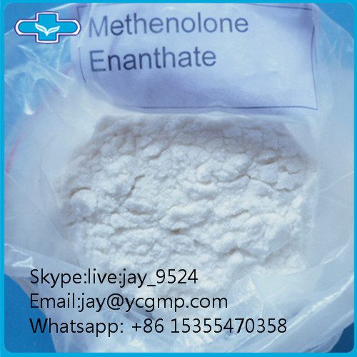 303-42-4 Oral Safety Aromatizing Methenolone Enanthate  Primobolan Steroid Powder Raw Material