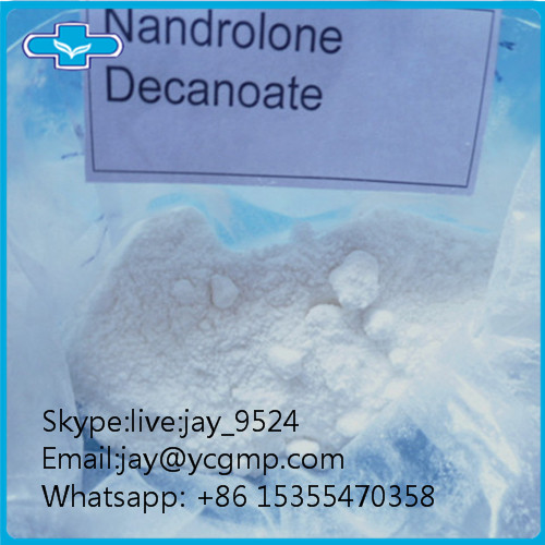 Muscle Building Nandrolone Steroid Powder Nandrolone Decanoate CAS 360-70-3