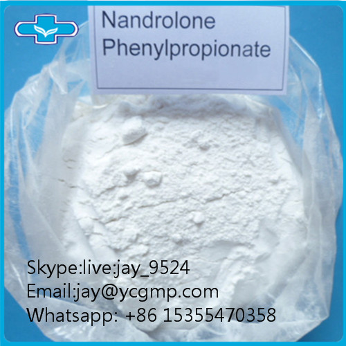 Purity 99% Nandrolone Steroid Phenylpropionate CAS 62 90 8 White Crystalline Powder