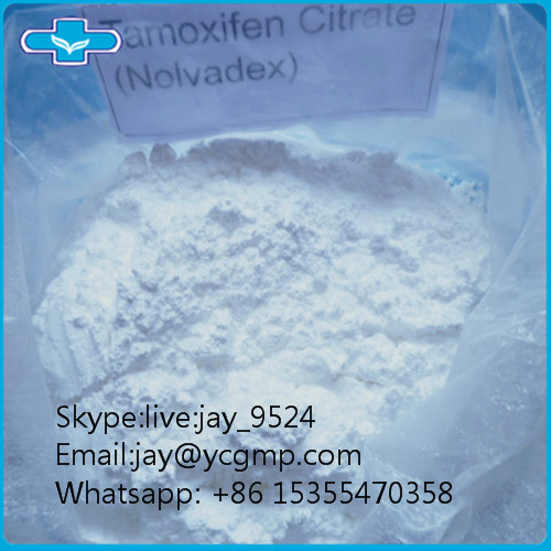  99% Purity Anti Estrogen Powder Bodybuilding Tamoxifen Citrate CAS 54965-24-1 Nolvadex