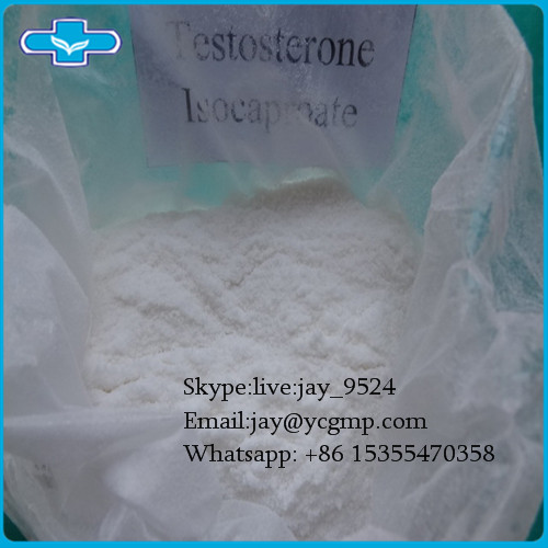 Anabolic Steroids Testosterone Isocaproate Powder For