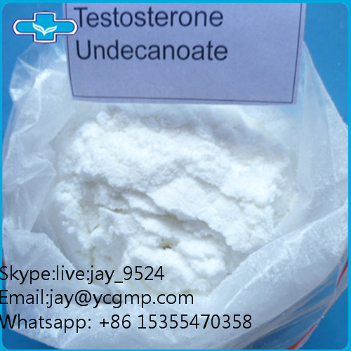 CAS 5949-44-0 Bodybuilding Steroids Powder Testosterone Undecylenate Powder 99% Purity