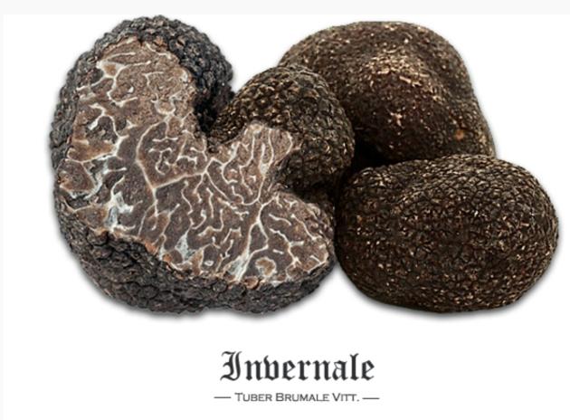 Fresh Black Truffles