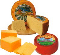 Sell Cheeses fat content 45% & 50%